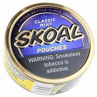 SKOAL - SKOAL MINT POUCH